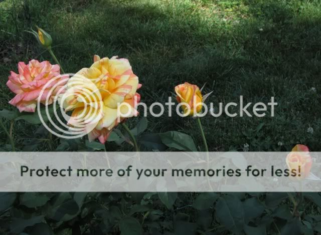 Photobucket